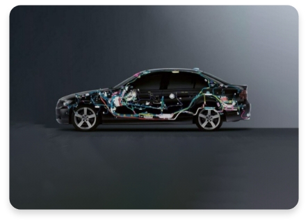 Automotive -Jeanuvs